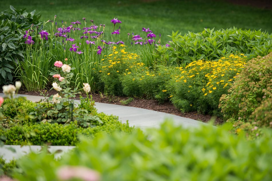 D & A Dunlevy Flower Garden