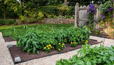 D & A Dunlevy Landscapers Garden