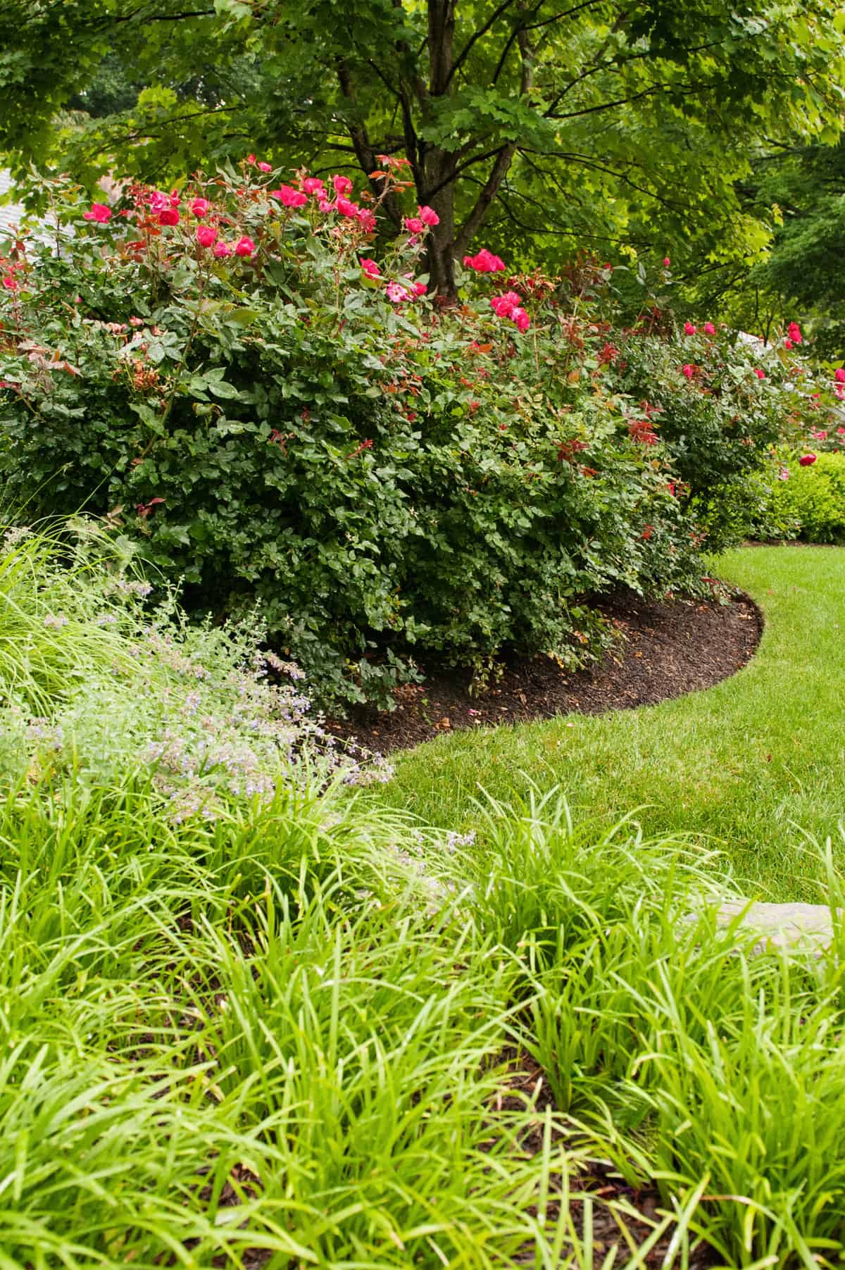 Lush Green Masterpiece D. A. Dunlevy