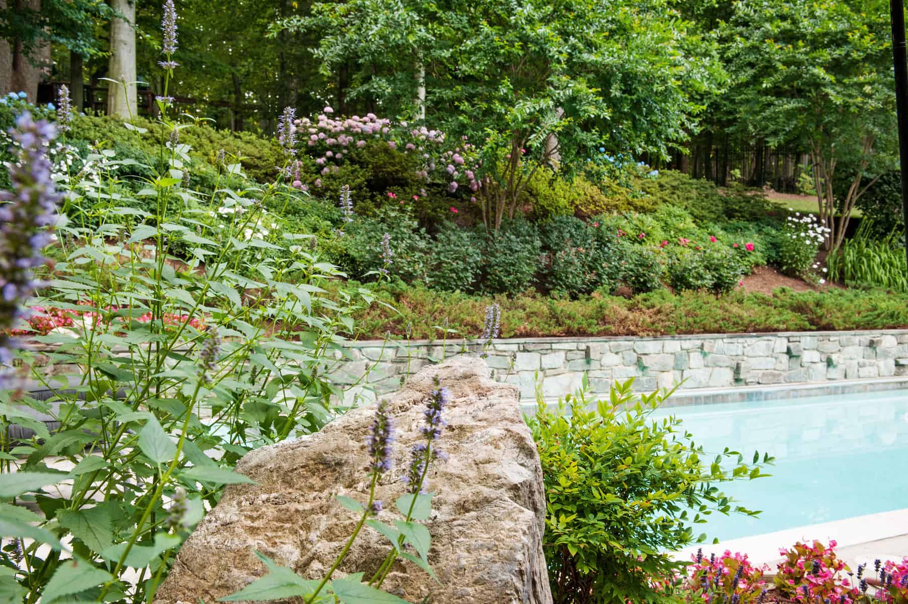 Beautiful Botanical Refuge D. A. Dunlevy