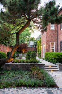 Pinetree Landscape Backyard Walkway