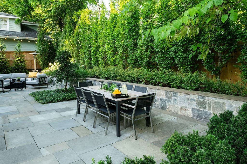 7- Hornbeam Privacy Wall